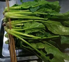 Spinach