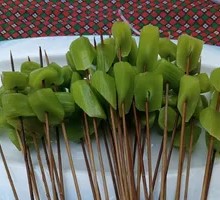 Bitter Melon Stem
