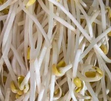 Bean sprouts