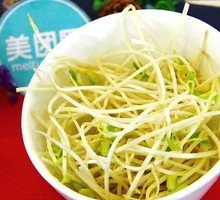Bean sprouts