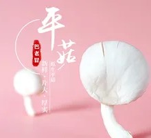 Enoki Mushroom