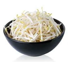 Bean sprouts
