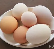 Boiled egg in plain water