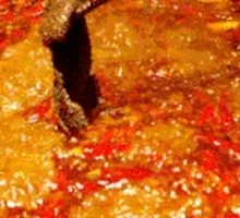 Beef Hot Pot