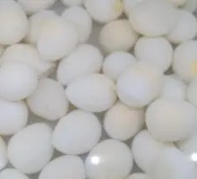 Quail Egg