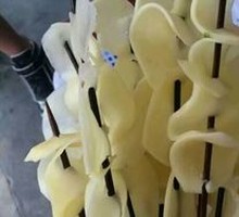 Potato Slices