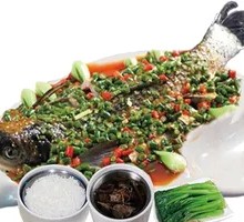 Scallion Crucian Carp