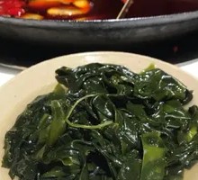 Sea lettuce