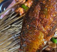 Crucian Carp