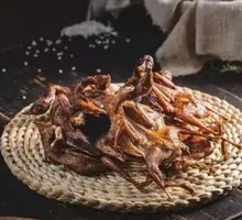 Torn Quail