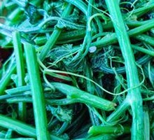 Stir-fried Cucumber Leaves
