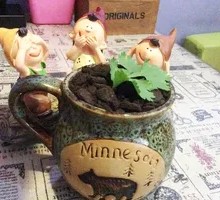 Potted Milk Tea