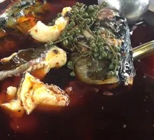 Pure Fish Head