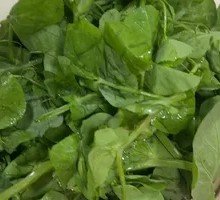 Pea Shoots