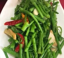 Water spinach