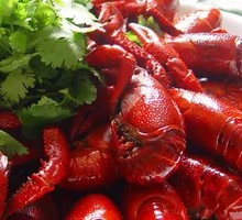Spicy Braised Lobster