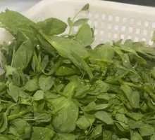 Pea Shoots