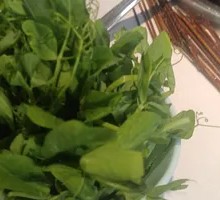 Pea Shoots