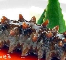 Abalone Sauce Braised Sea Cucumber