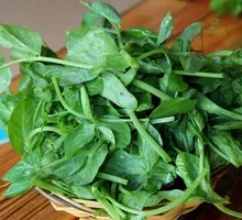 Pea Shoots