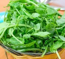 Pea Shoots