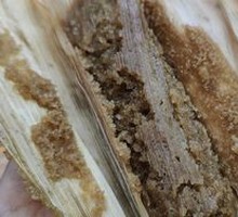 Brown Sugar Dumpling