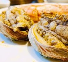 Live Abalone
