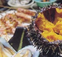 Sea Urchin