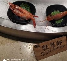 Arctic Sweet Shrimp