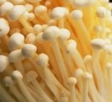 Enoki Mushroom