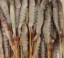Fresh Shrimp