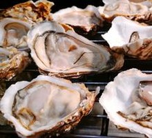 Fresh Oysters