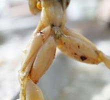 Frog Hot Pot