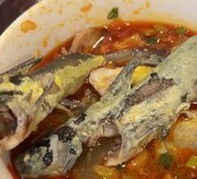 Yellow Croaker