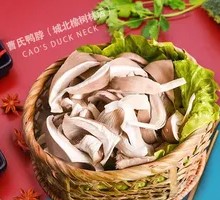Torn Oyster Mushroom
