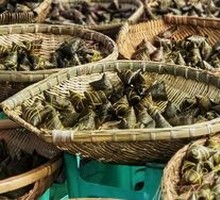 Surprisingly Abundant Zongzi