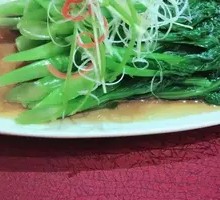 Steamed Bok Choy