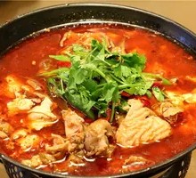 Tofu and Intestines