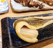 Conger Eel