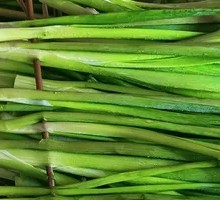 Leek