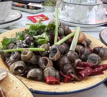 Spicy Sucking Snail