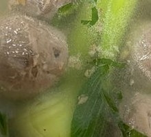 Braised Beef Ball Soup