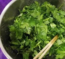Cilantro Segments