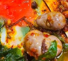 Rabbit Kidney