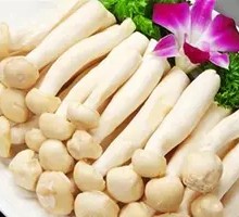 Seafood Mushroom