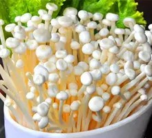 Enoki Mushroom