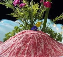 Australian Wagyu Beef