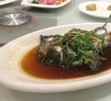 Cantonese Steamed Rockfish