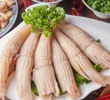 Rocket Squid