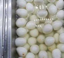 Quail Egg